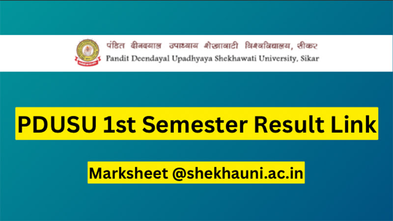 PDUSU 1st Semester Result